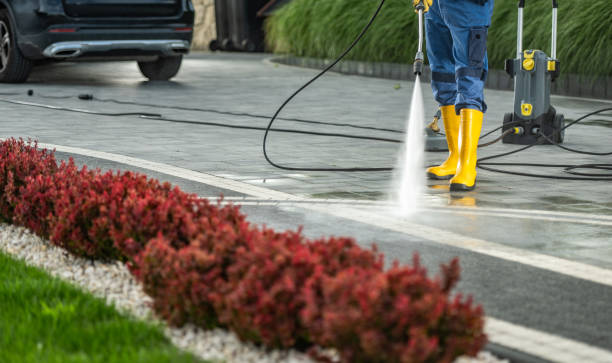 Best Spring Cleaning  in Chestnut Ridge, NY